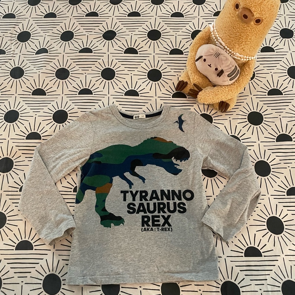 Fun Dinosaur Graphic Boy’s Long Sleeve Top (Sz 9/10)